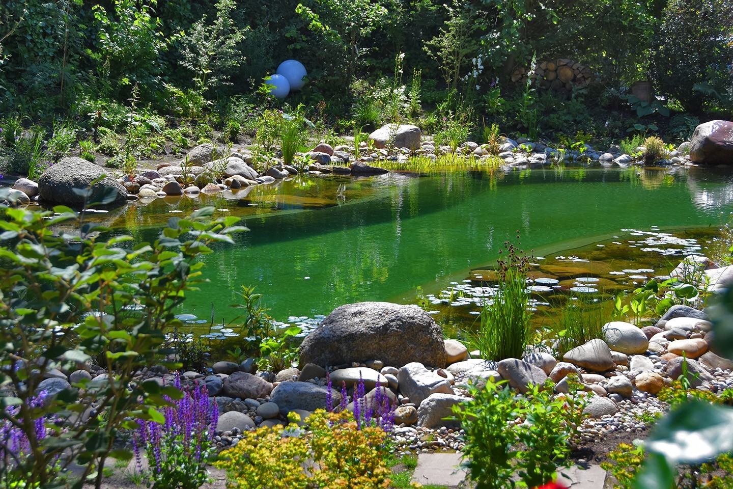 Ein geschwungener Schwimmteich im Garten umgeben von Blumen und Steinen